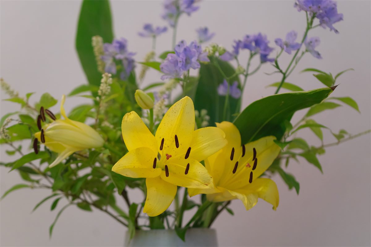 百合を主にした活け花