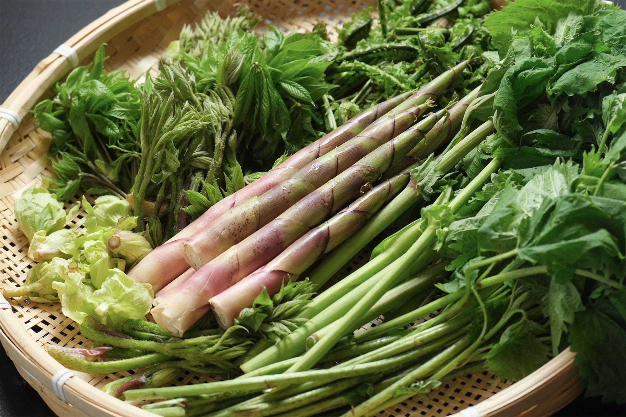 笊に盛られた初夏の山菜。月山筍、こごみ、うるいなど